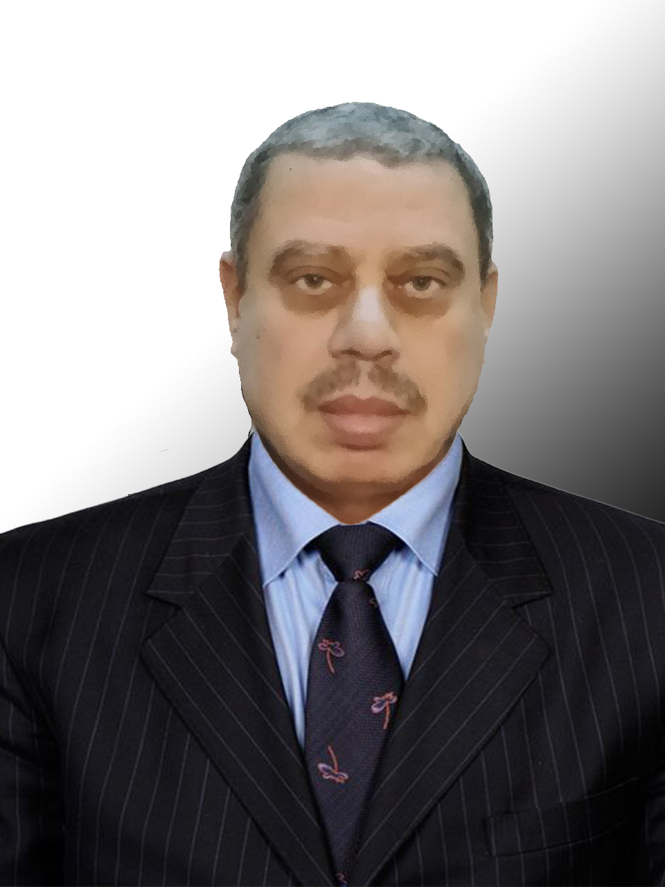 Mahmoud ALSHOUBAKI